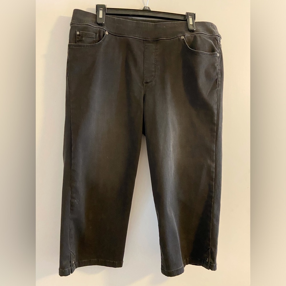 Gloria Vanderbilt Avery pull up skimmers